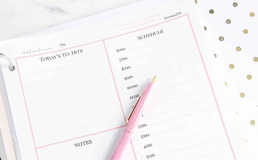 Daily Planner - Free Printable - Fantabulosity