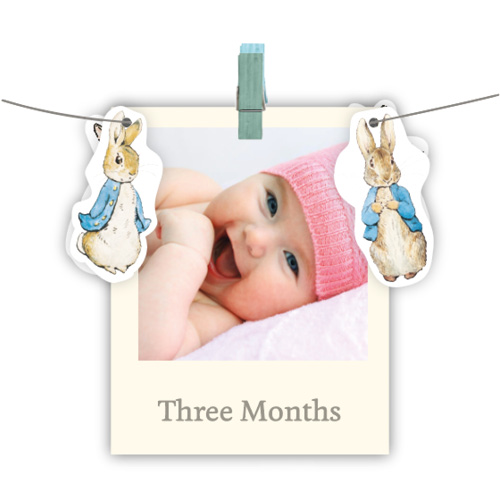 Peter Rabbit Photo Banner - Fizz Creations