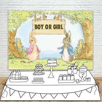 Peter Rabbit Themed Baby Shower Backdrop Pink or ... - Amazon.com
