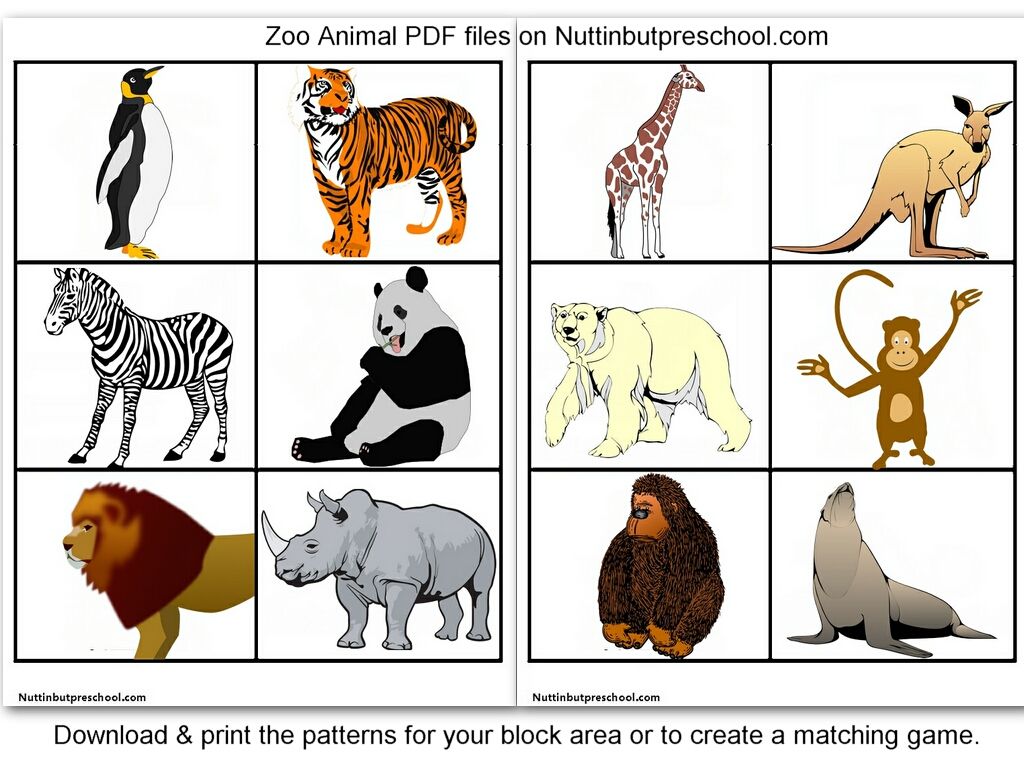 free-printable-photos-of-zoo-animals-download-free-printable-photos-of-zoo-animals-png-images-free-worksheets-on-clipart-library for Free Printable Pictures Of Zoo Animals Free printable photos of zoo animals, Download Free printable photos of zoo animals png images, Free Worksheets on Clipart Library for Free Printable Pictures Of Zoo Animals