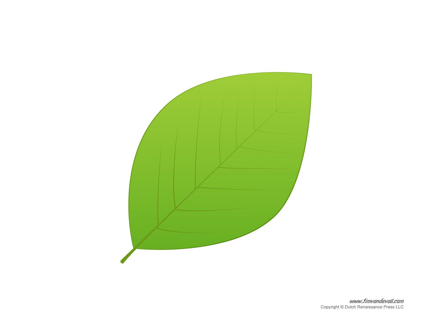 printable pics of leaves