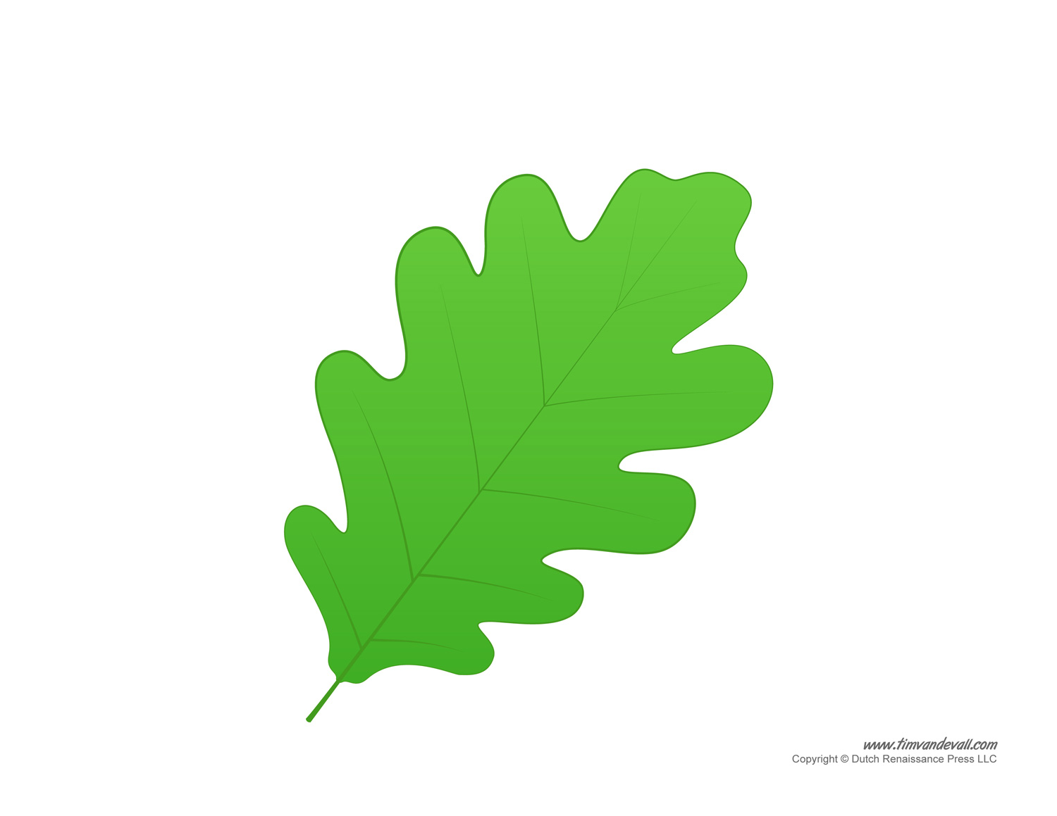 printable pics of leaves