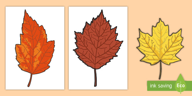 printable pics of leaves