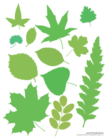 printable pics of leaves