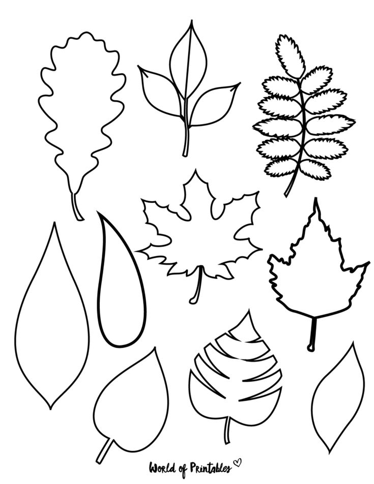 printable pics of leaves