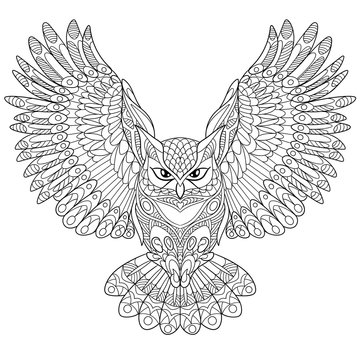 printable picture of an owl
