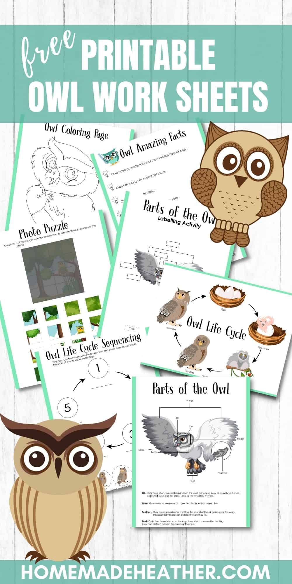 Free Owl Activity Printables » Homemade Heather