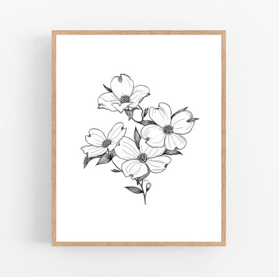 printable picture of dogwood flower