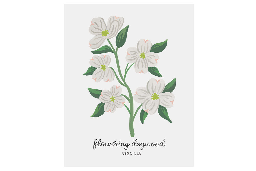 printable picture of dogwood flower