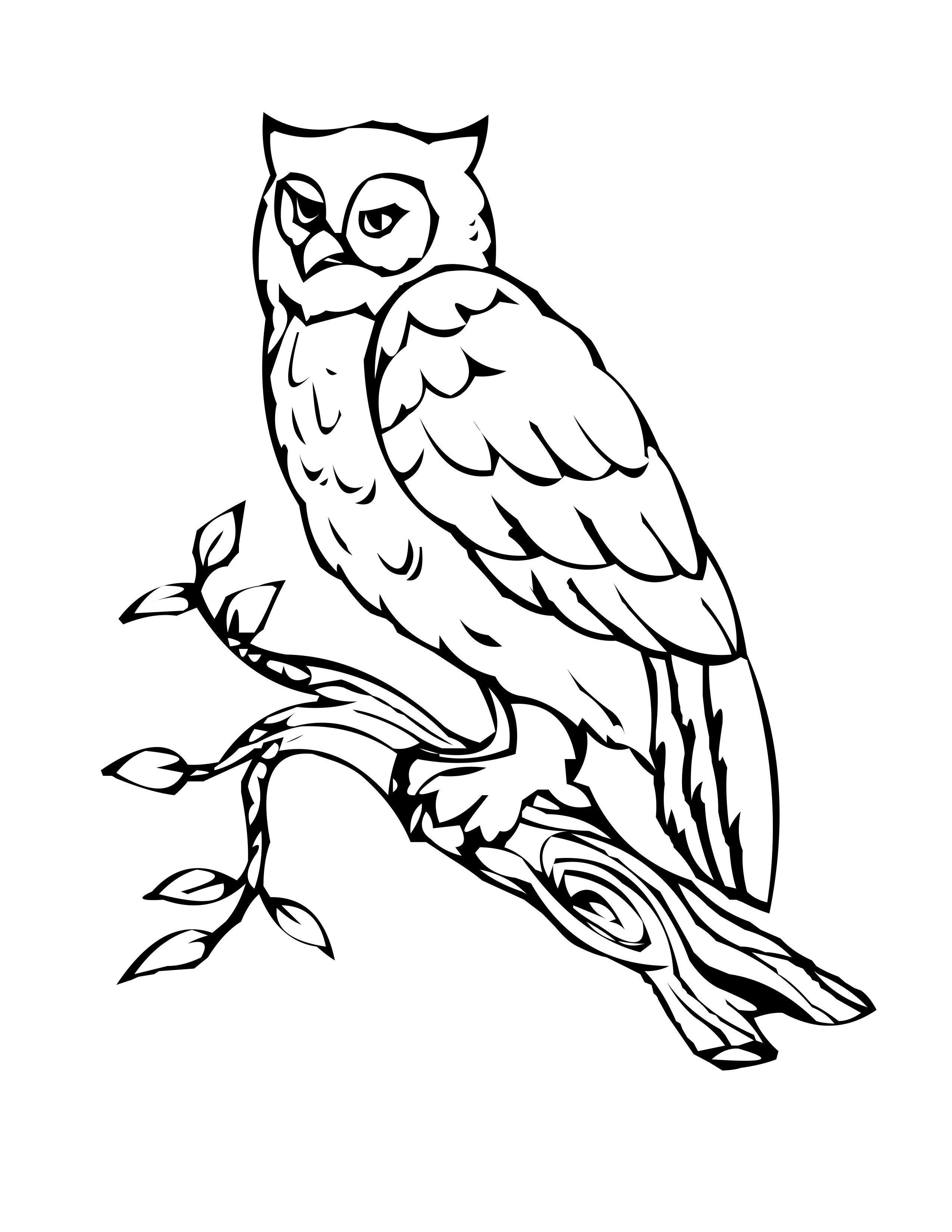 printable picture of owl