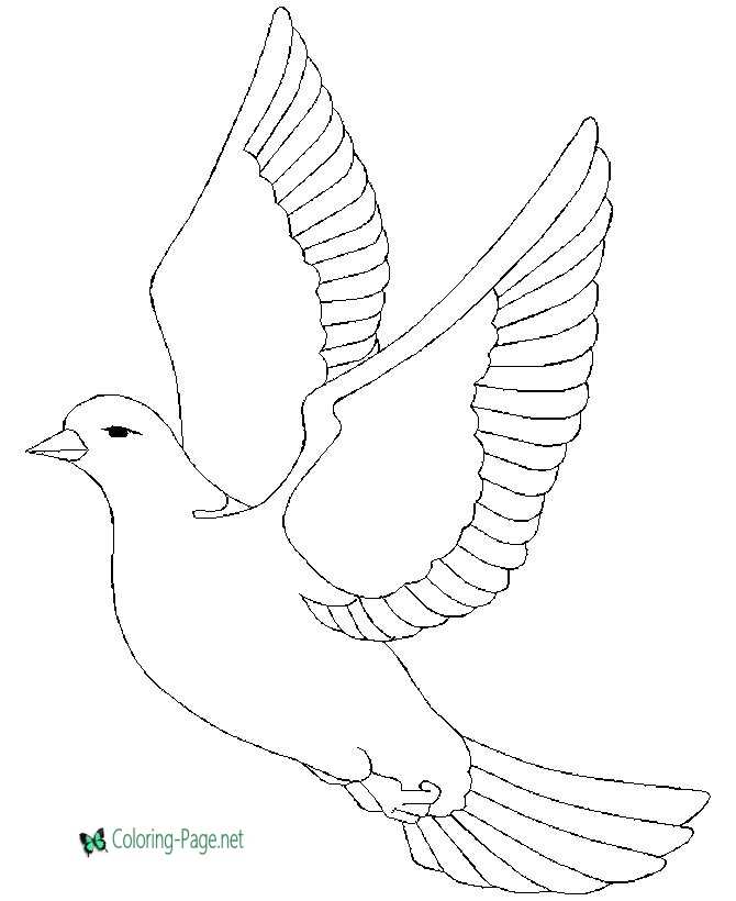 printable pictures birds