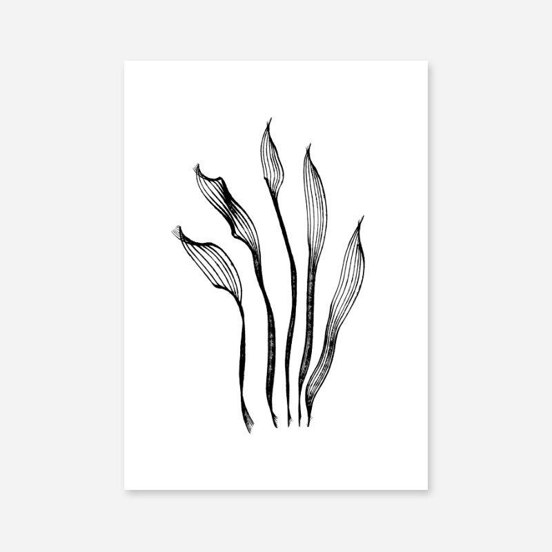 printable pictures black and white