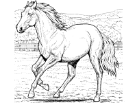printable pictures horses