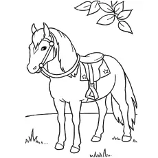 printable pictures horses