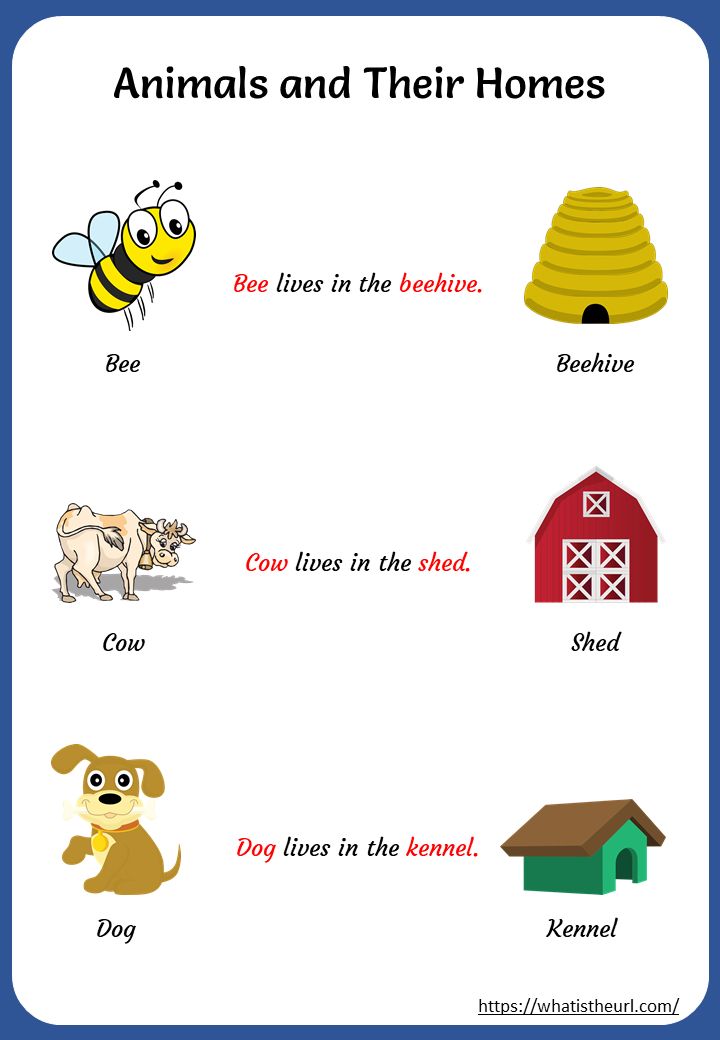 printable pictures of animal homes