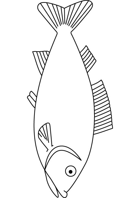 printable pictures of fish