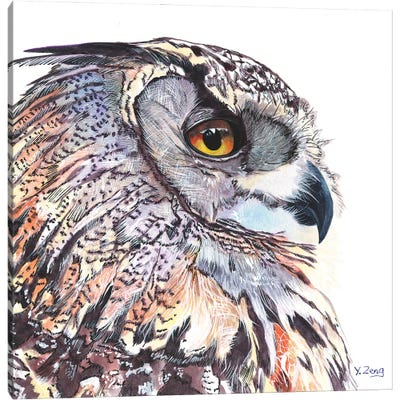 printable pictures of great horned owl