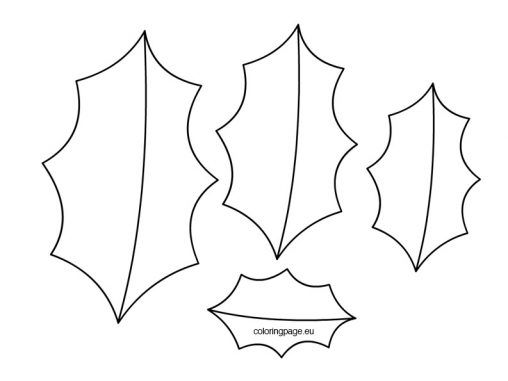 printable pictures of holly leaves
