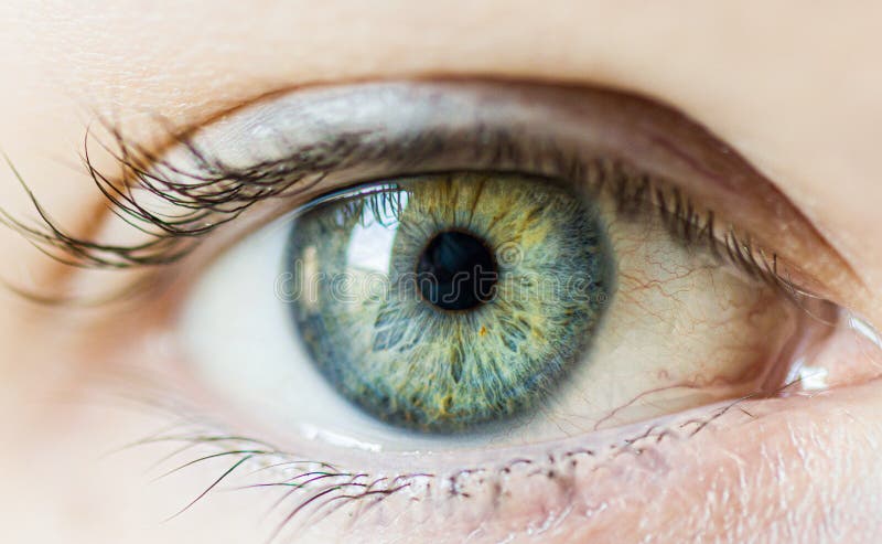 printable pictures of human eyes
