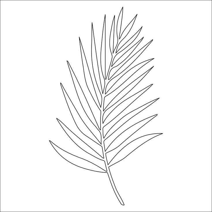 printable pictures of palm leaves