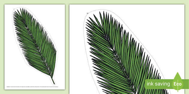 printable pictures of palm leaves