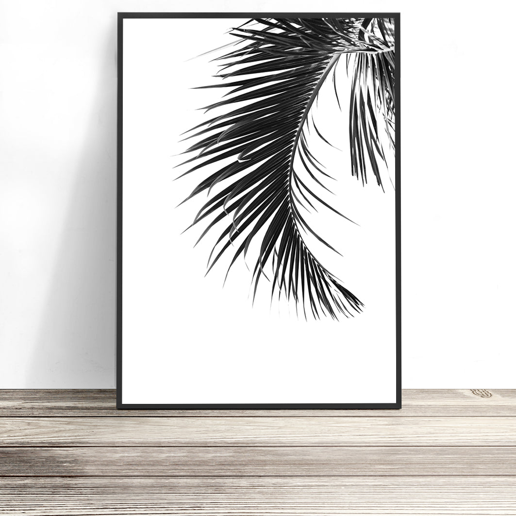 printable pictures of palm leaves