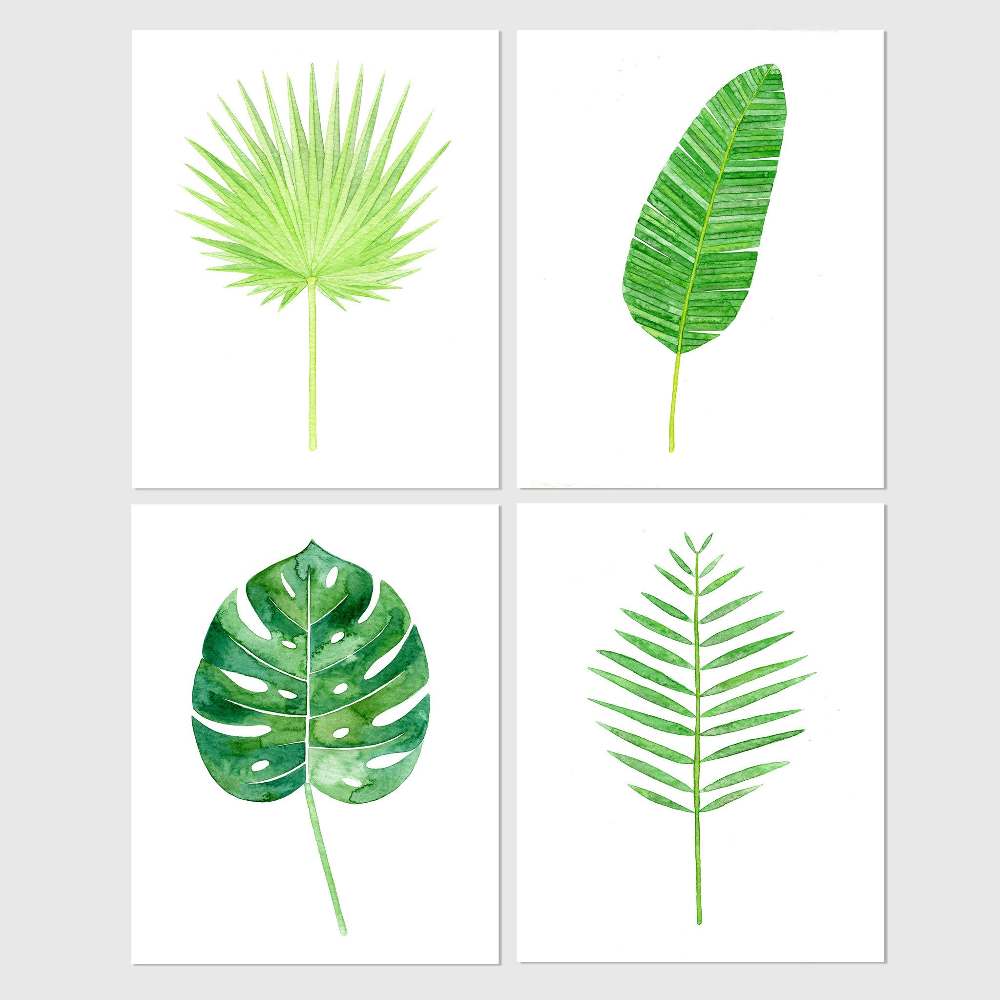 printable pictures of palm leaves