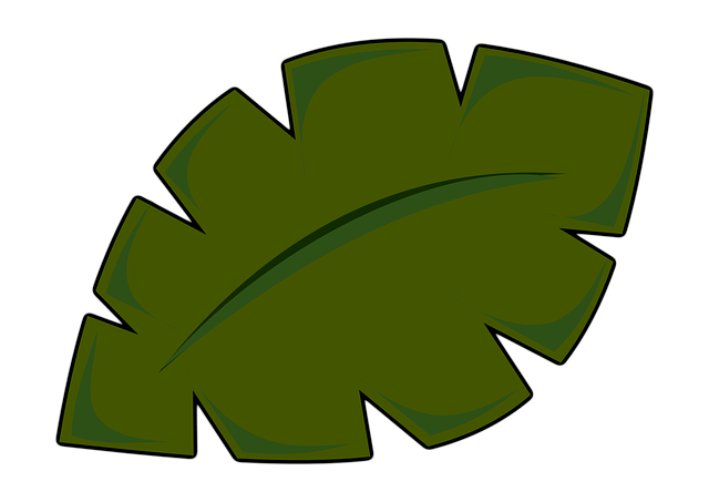 printable pictures of palm leaves