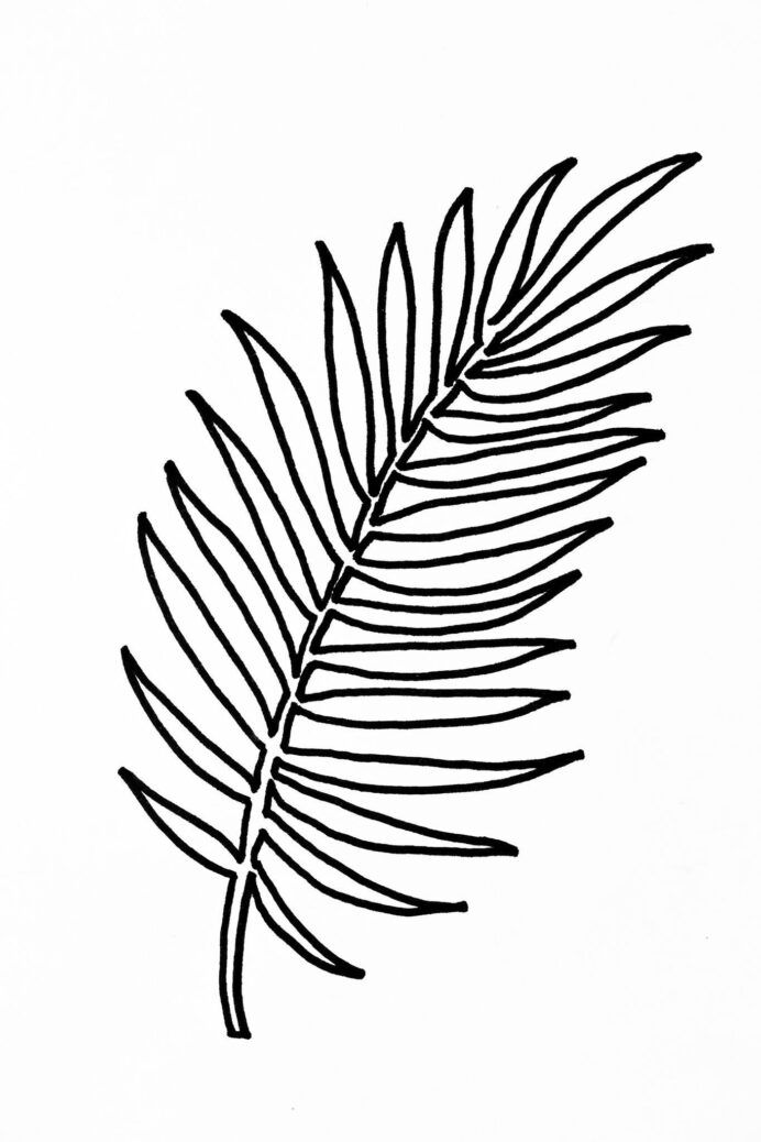 printable pictures of palm leaves