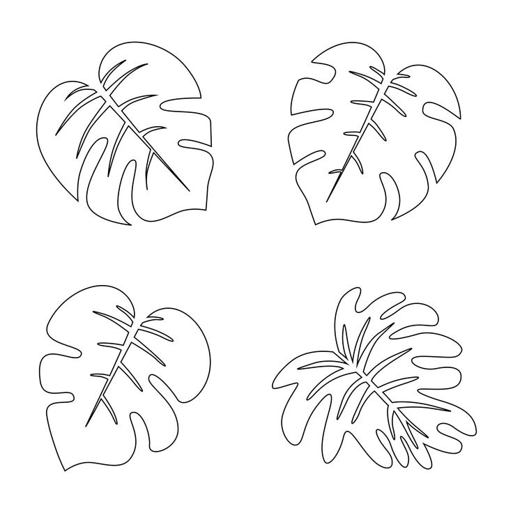 printable pictures of palm leaves
