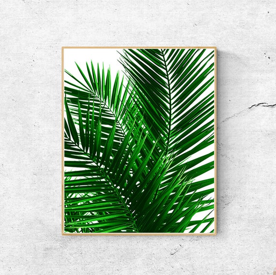printable pictures of palm leaves