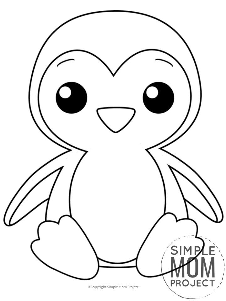 printable pictures of penguins