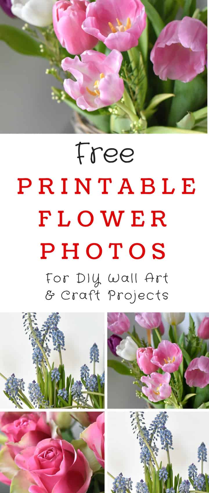 printable pictures of real flowers