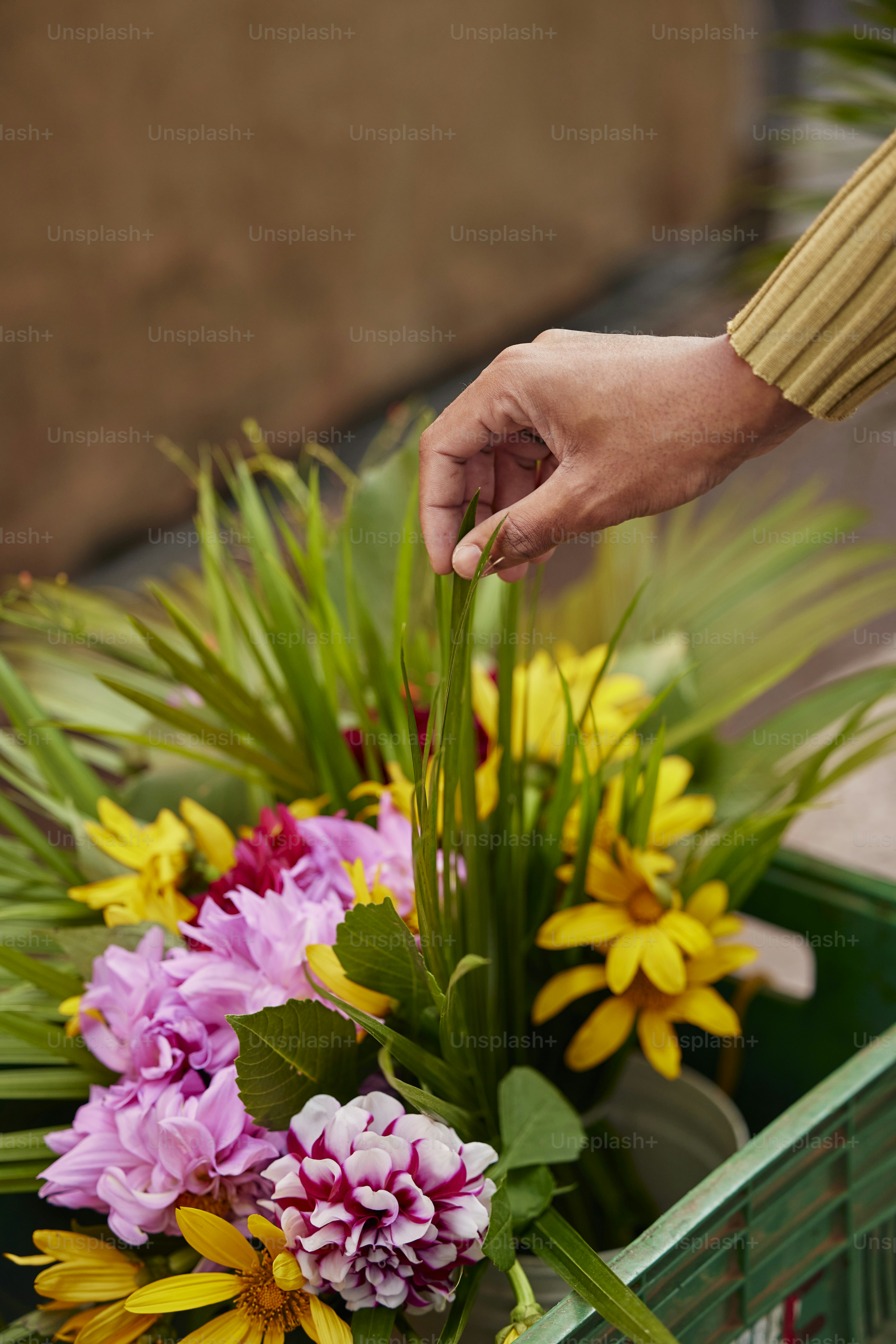 printable pictures of real flowers