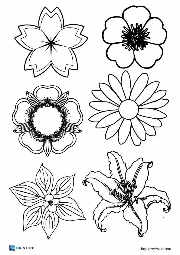 printable pictures of real flowers