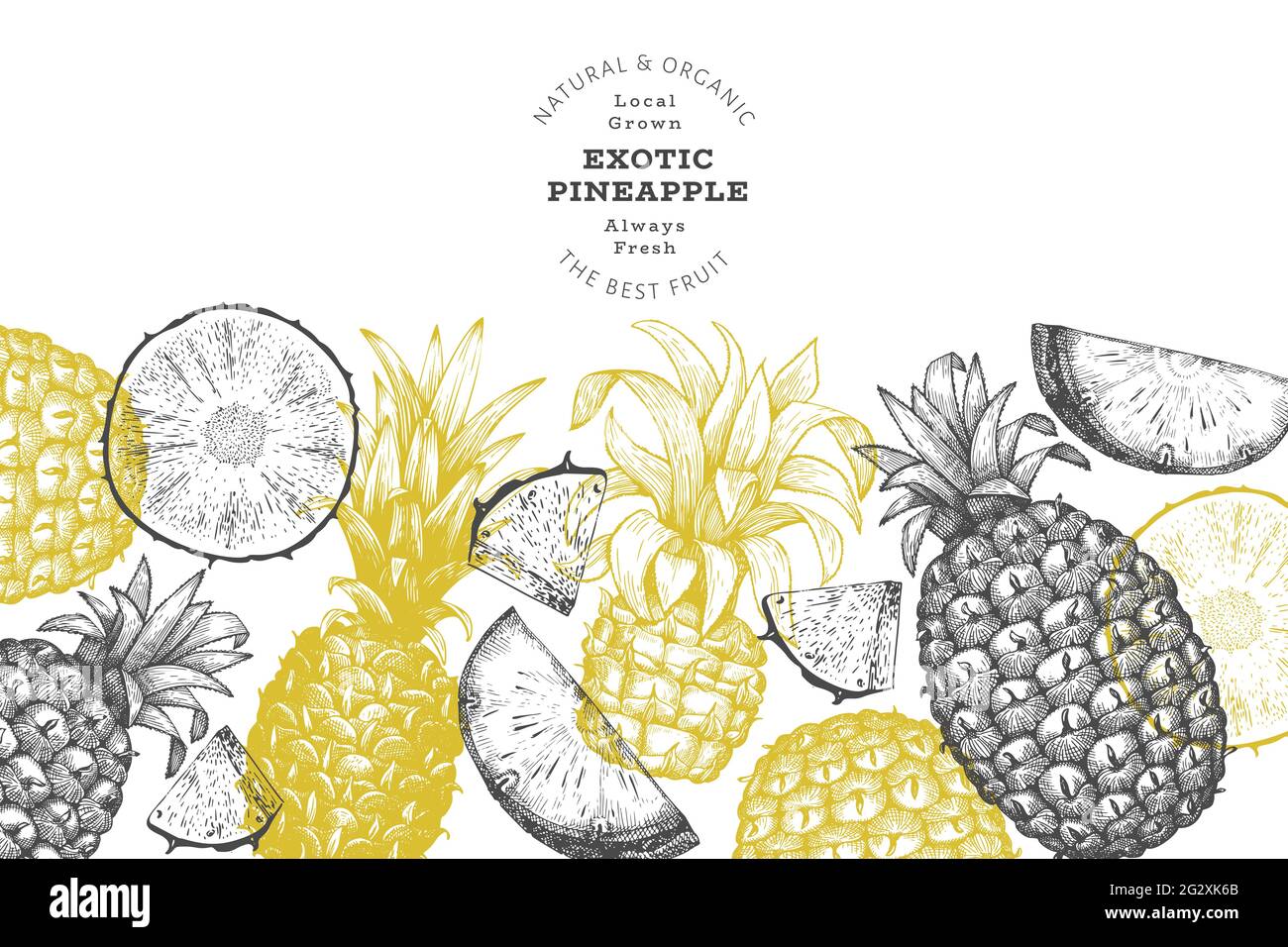 Botanical print pineapple hi-res stock photography and images ...