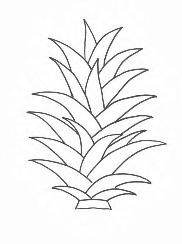 Pineapple Fronds Template
