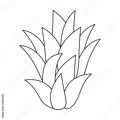Sweet and delicious pineapple leaves, icon vector illustration ...