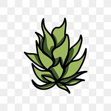 Pineapple Leaves Vector Art PNG Images | Free Download On Pngtree