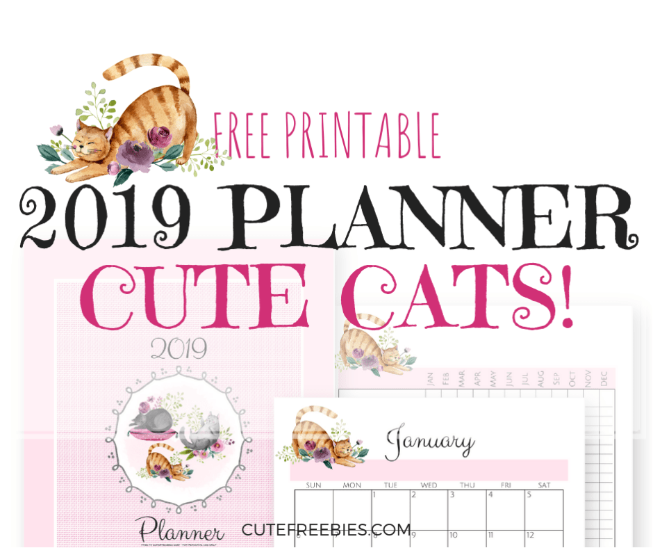 Cute Cats 2019 Planner Printable! - Cute Freebies For You