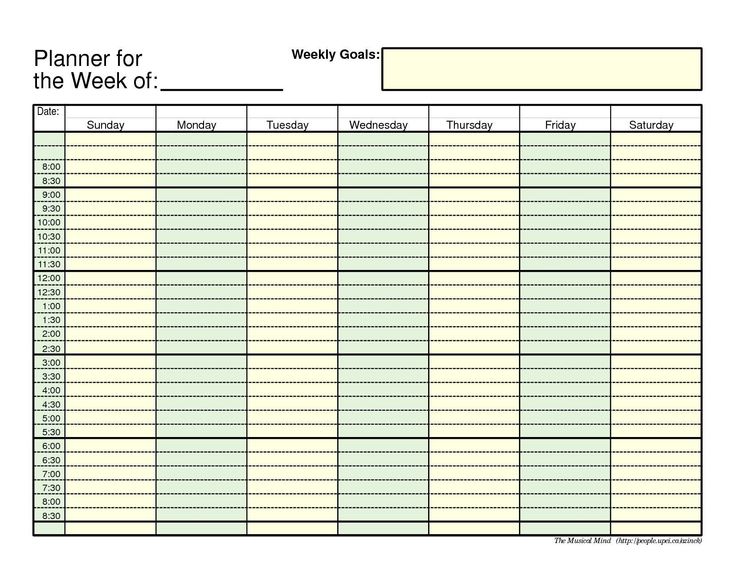 20 Daily Planner Template 2017