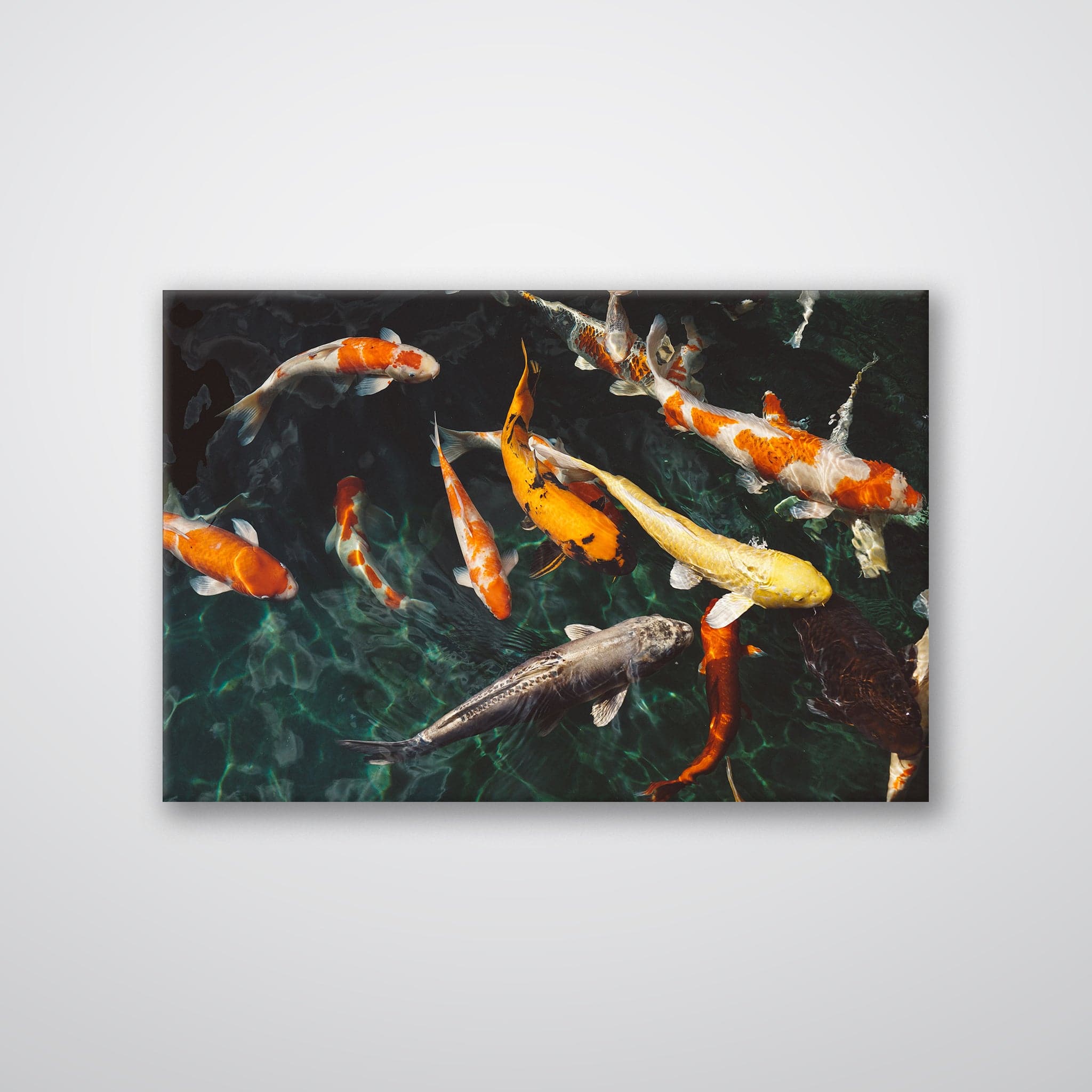 Koi Pond Fish Wood Print Feng Shui Vastu Wall Art - Chalk My Theme