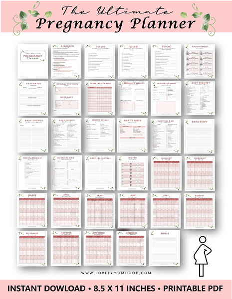 The Best Pregnancy Planner: Every Pregnancy Checklist You Need!