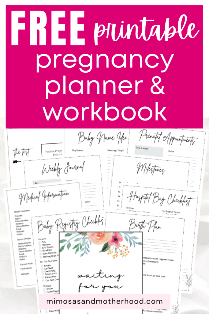 printable pregnancy journal