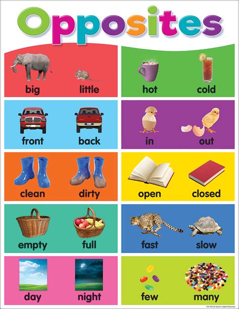 printable preschool opposites worksheet