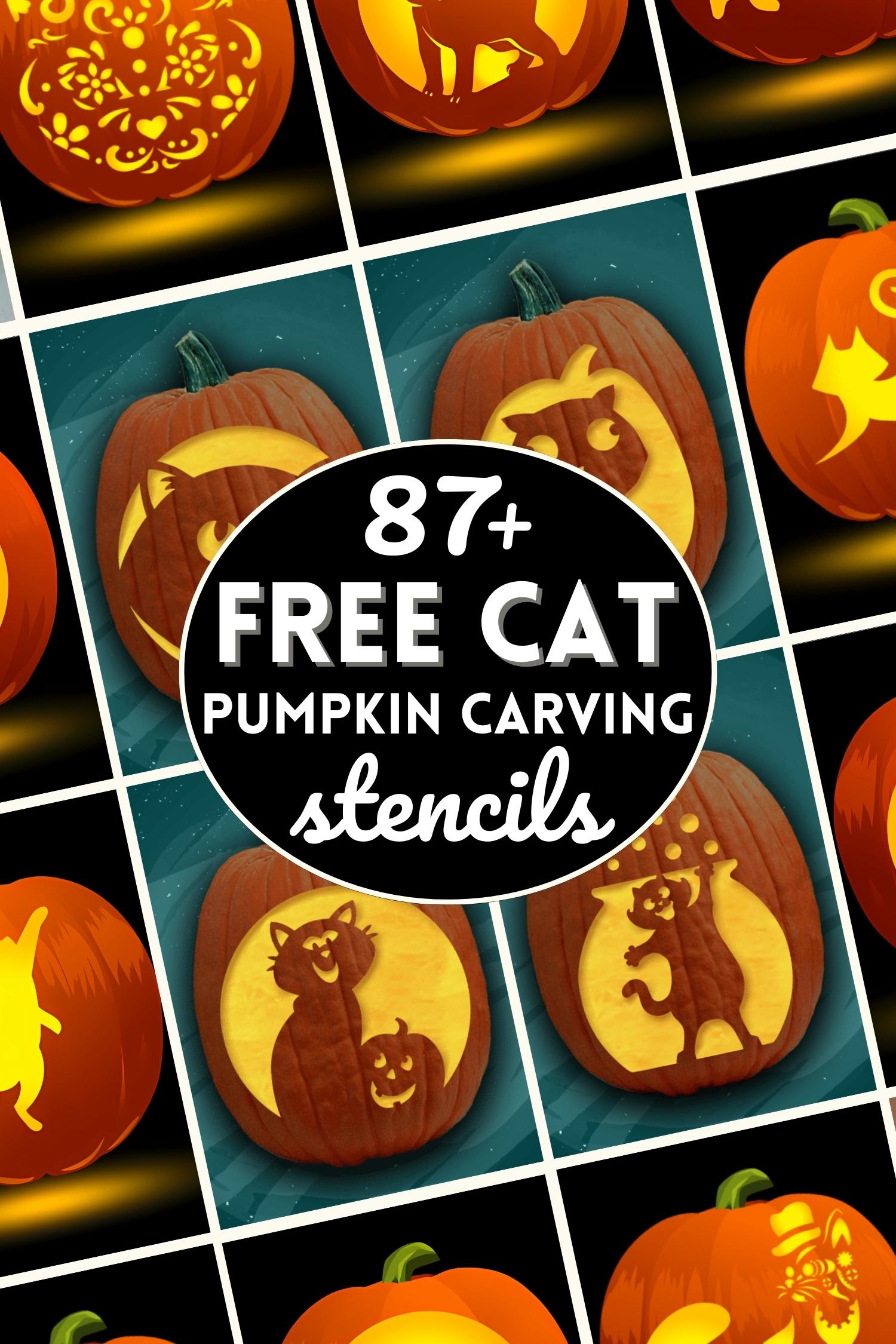 Free Printable Pumpkin Stencils Cat Download Free Printable Pumpkin 