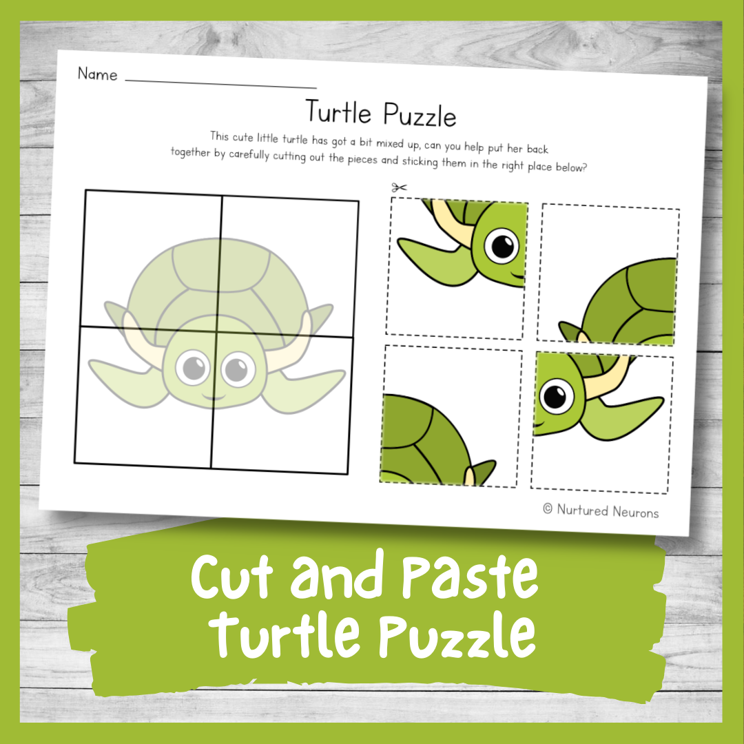 Printable Turtle Puzzle - Preschool Cut And Paste Worksheet ...