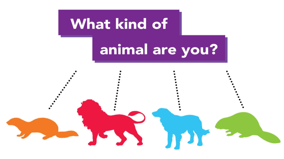 printable quiz personality