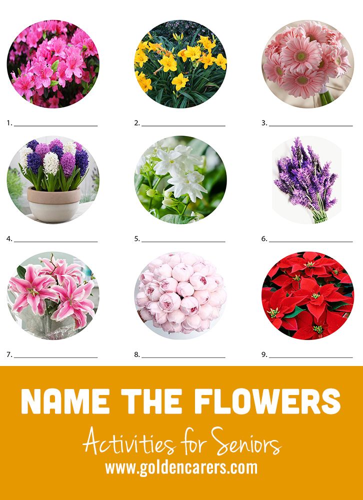 Name The Flowers Quiz #2