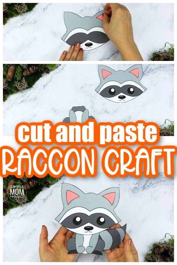 printable raccoon images